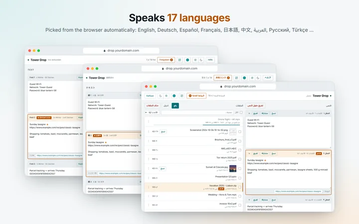 17 languages